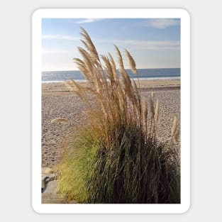 Dana Point Grasses Sticker